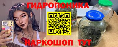 гашик Кулебаки