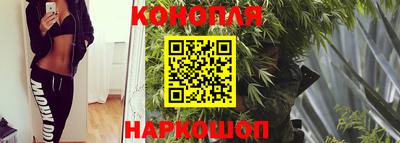 гашик Кулебаки