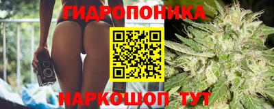гашик Кулебаки