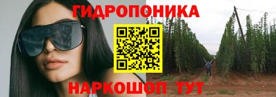 гашик Кулебаки