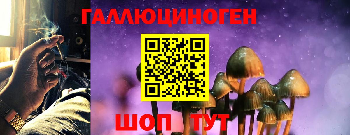 Галлюциногенные грибы мухоморы Воркута